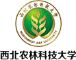亚游集团·ag8(中国)官网-只為非同凡享